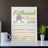 Personalized Canvas Birth Stats Sign Nursery Decor New Baby Gift